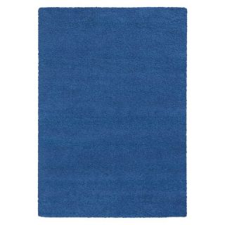 Pantone Focus 4849G Shag Area Rug   True Blue (710x1010)