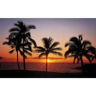 100 in. x 145 in. Hawaiian Sunset Mural H98307