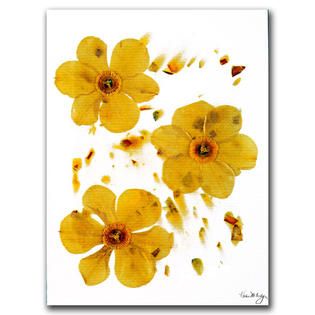 Trademark Fine Art Kathie McCurdy Daffodils on Paper 18 x 24