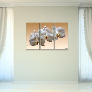 Bruce Bain White Orchid Canvas Wall Art (3 piece Set)  