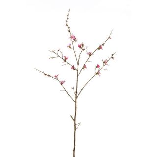 44 inch Cream Quince Blossom Branch (Pack of 6)
