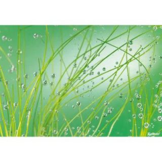 Komar 100 in. x 145 in. Aqua Wall Mural 8 889