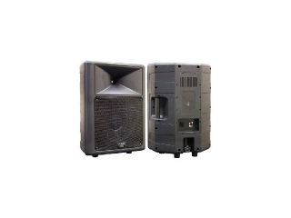 PYLE PPHP 1259 500 Watt 12" Two Way Plastic Molded Speaker Cabinet Single