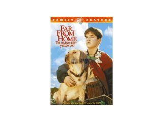 Far From Home: Adventures Of Yellow Dog Jesse Bradford, Mimi Rogers, Bruce Davison, Tom Bower, Joel Palmer, Josh Wannamaker, Margot Finley