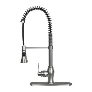 Dyconn Faucet Erie 22 inch Contemporary Brushed Nickel Flexible Swivel