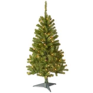 National Tree Company 4 ft. Canadian Grande Fir Tree with Clear Lights