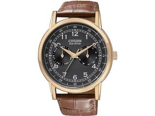Citizen AO9003 08E Gold Tone Stainless Steel Case Black Dial Day and Date Display Brown Leather Strap