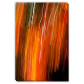 Gallery Direct AJ Andrewss Clivia Miniata in Bloom Canvas Gallery