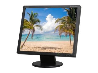 NEC Display Solutions AccuSync AS191 BK Black 19" 5ms LCD Monitor 250 cd/m2 900:1
