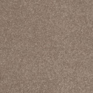 Home Decorators Collection Ashby Woods   Color Putty 12 ft. Carpet HDA170TX10