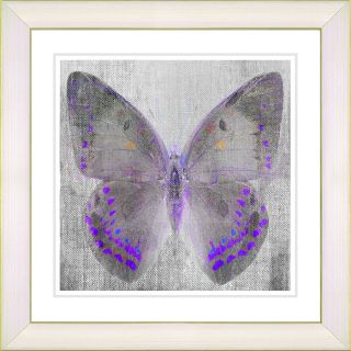Studio Works Modern Dusk Butterfly   Purple by Zhee Singer Framed