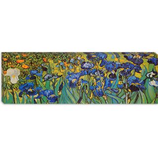 Trademark Art Irises at Saint Remy by Vincent van Gogh Painting