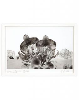 Marc Quinn Under The Ocean   Print   Women Marc Quinn Prints   58009854KP