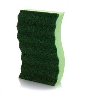 Debbie Meyer GeniusSponge with Scrubber™   Set of 12   7443887