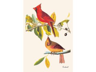 Buyenlarge   03560 9CG28   Cardinal 28x42 Giclee on Canvas