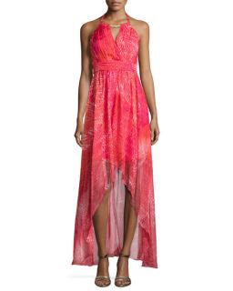 Laundry by Shelli Segal Golden Neckline High Low Gown, Barberry Multi