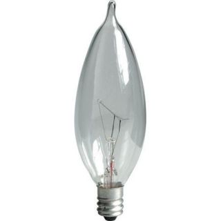 GE Lighting Incandescent Light Bulb