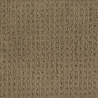 STAINMASTER TruSoft Salena Brown/Tan Cut and Loop Indoor Carpet