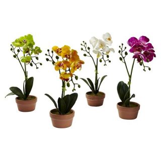 Nearly Natural Phalaenopsis Orchid with Clay Vase (Set of 4)