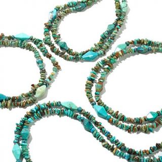 Jay King 2 Row Turquoise Bead 18" Sterling Silver Necklace   8000862