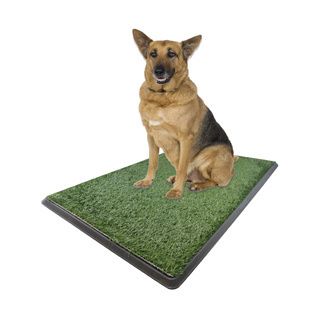 Prevue Pet Products Tinkle Turf for Large Dog Breeds   14083849