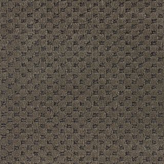 STAINMASTER PetProtect Natural Essence Smooth Mineral Cut and Loop Indoor Carpet