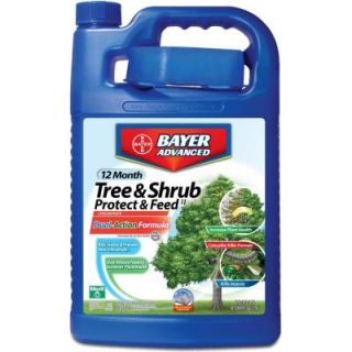 Bayer Advanced 1 Gal. Concentrate Tree/Shrub Protect and Feed 701615A