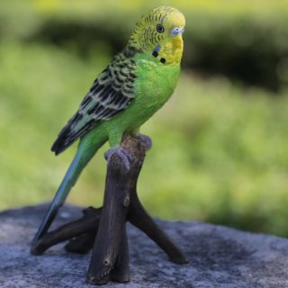 Budgie On Branch Statue by Hi Line Gift Ltd.