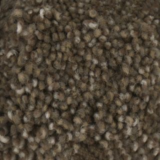 STAINMASTER PetProtect Baxter III Dachshund Textured Indoor Carpet