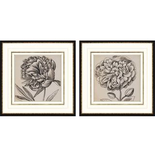 Paragon Graphic Floral I 2 Piece Framed Painting Print Shadow Box Set