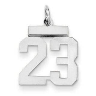 14k White Gold Small Polished Number 23 Charm Pendant