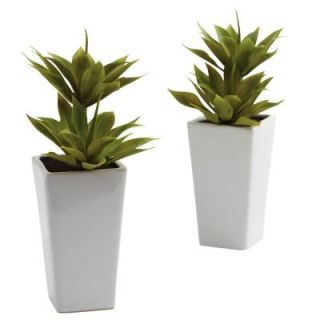Nearly Natural Double Mini Agave with Planter (Set of 2) 4971 S2