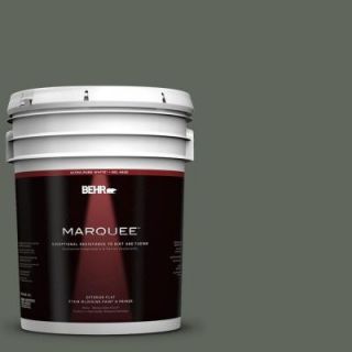 BEHR MARQUEE 5 gal. #710F 6 Painted Turtle Flat Exterior Paint 445305