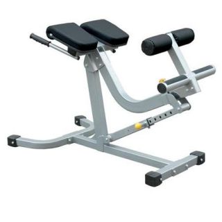 Back and Abdominal Exercise Bench