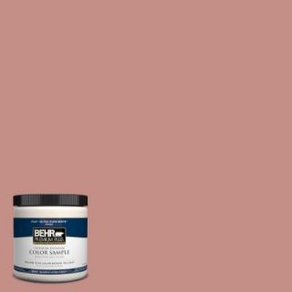 BEHR Premium Plus 8 oz. #S160 4 Portuguese Dawn Interior/Exterior Paint Sample PP10416