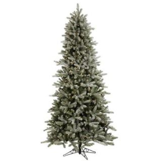6.5' Pre Lit Slim Frosted Frasier Artificial Christmas Tree   Warm Clear LED Lights