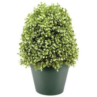 National Tree Company 15 in. Boxwood Artificial Tree in Dark Green Round Plastic Urn LBX4 15 1