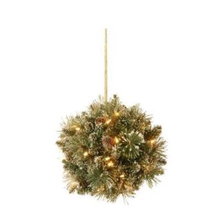 National Tree Company 12 in. Glittery Bristle Pine Kissing Ball with Pine Cones GB1 300 12K B1