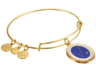 Alex and Ani Celestial Wheels Pisces Constellation Bangle Yellow Gold