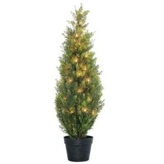 National Tree Company 36 in. Arborvitae in Green Grower's pot with 50 Clear Lights LMC4 300 36