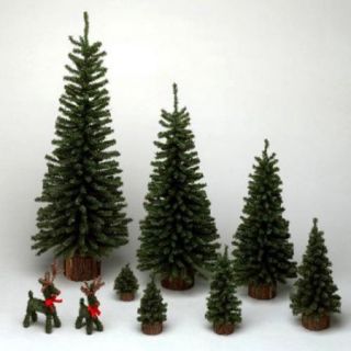 Vickerman Vickerman 18" Mini Pine Artificial Christmas Tree Unlit