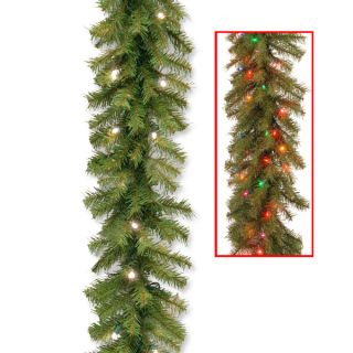 Norwood Fir Garland with 50 Dual Warm White/ Multi Battery Operated