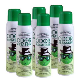 Odor Assassin 12 oz. Air Freshener Fine Mist Spray, Key Lime   6 Pack