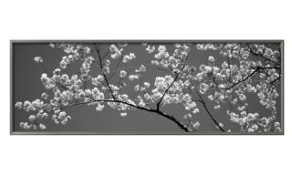 Cherry Blossoms Framed Wall Art   Wall Art